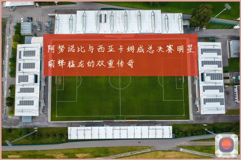 阿努诺比与西亚卡姆成总决赛明星前锋猛龙的双重传奇