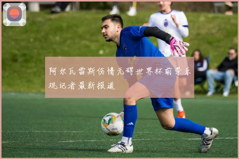 阿尔瓦雷斯伤情无碍世界杯前景乐观记者最新报道